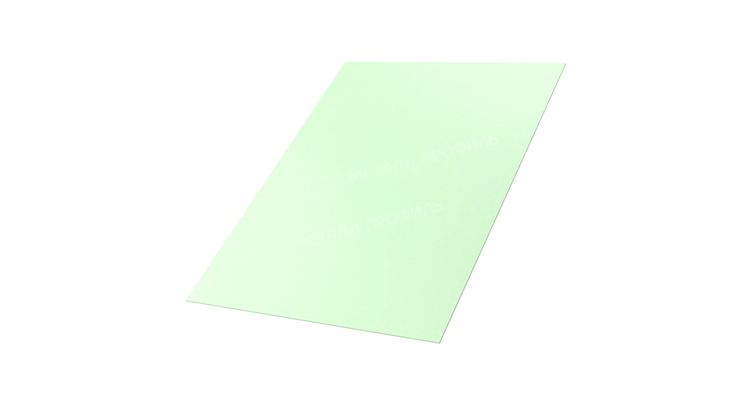 Лист плоский (ПЭП-01-6019-0.45)